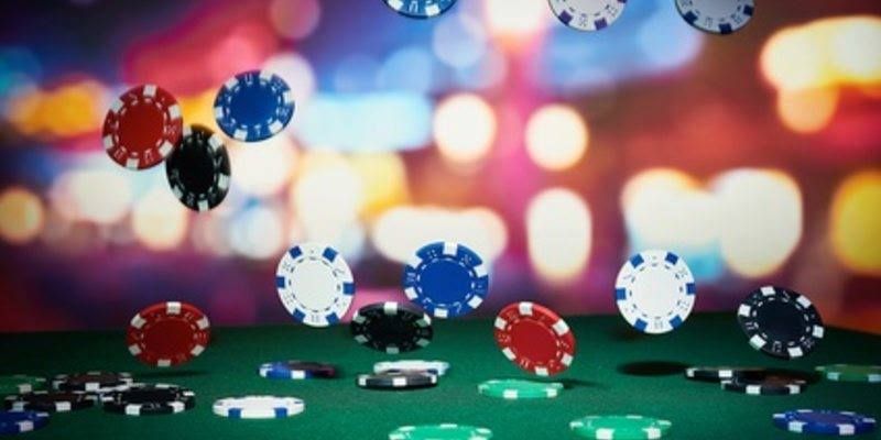 Dream17 Live Betting